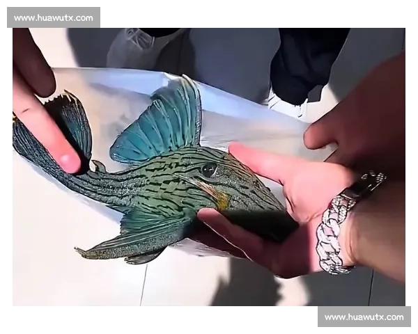 从清道夫鱼入侵看外来物种对生态系统的长期影响与治理挑战思考